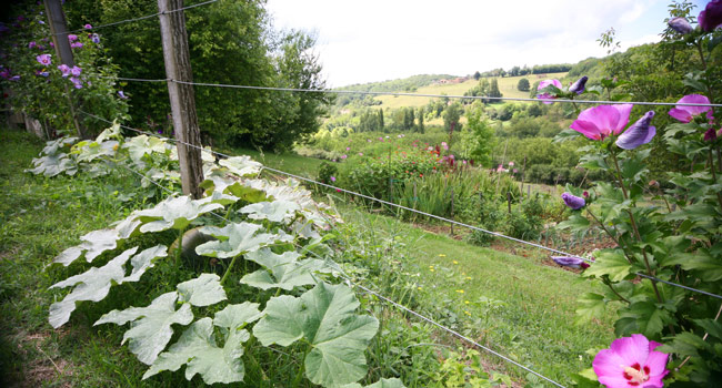 Pesset Grounds Dordogne, Belves